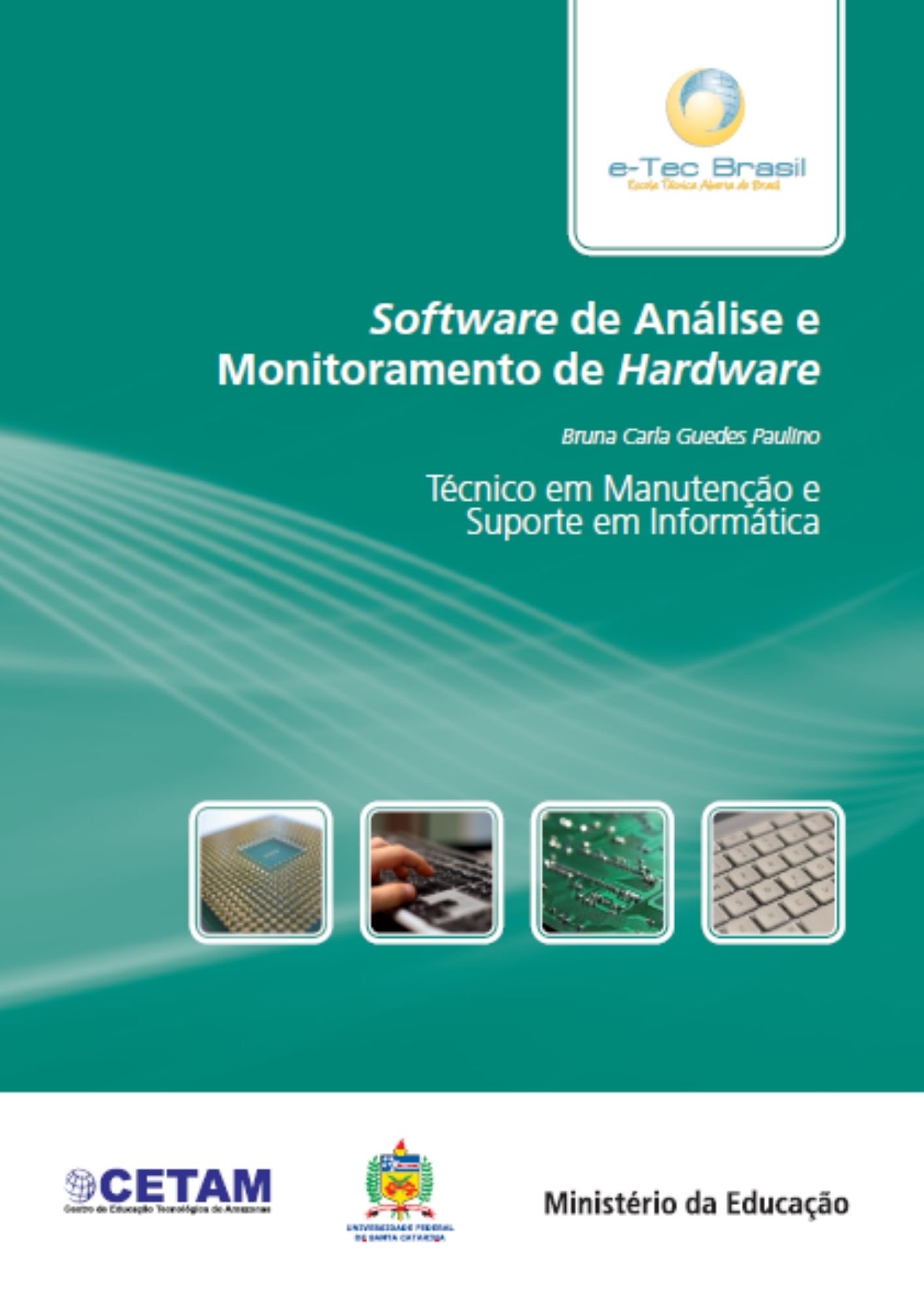Software de Análise e Monitoramento de Hardware