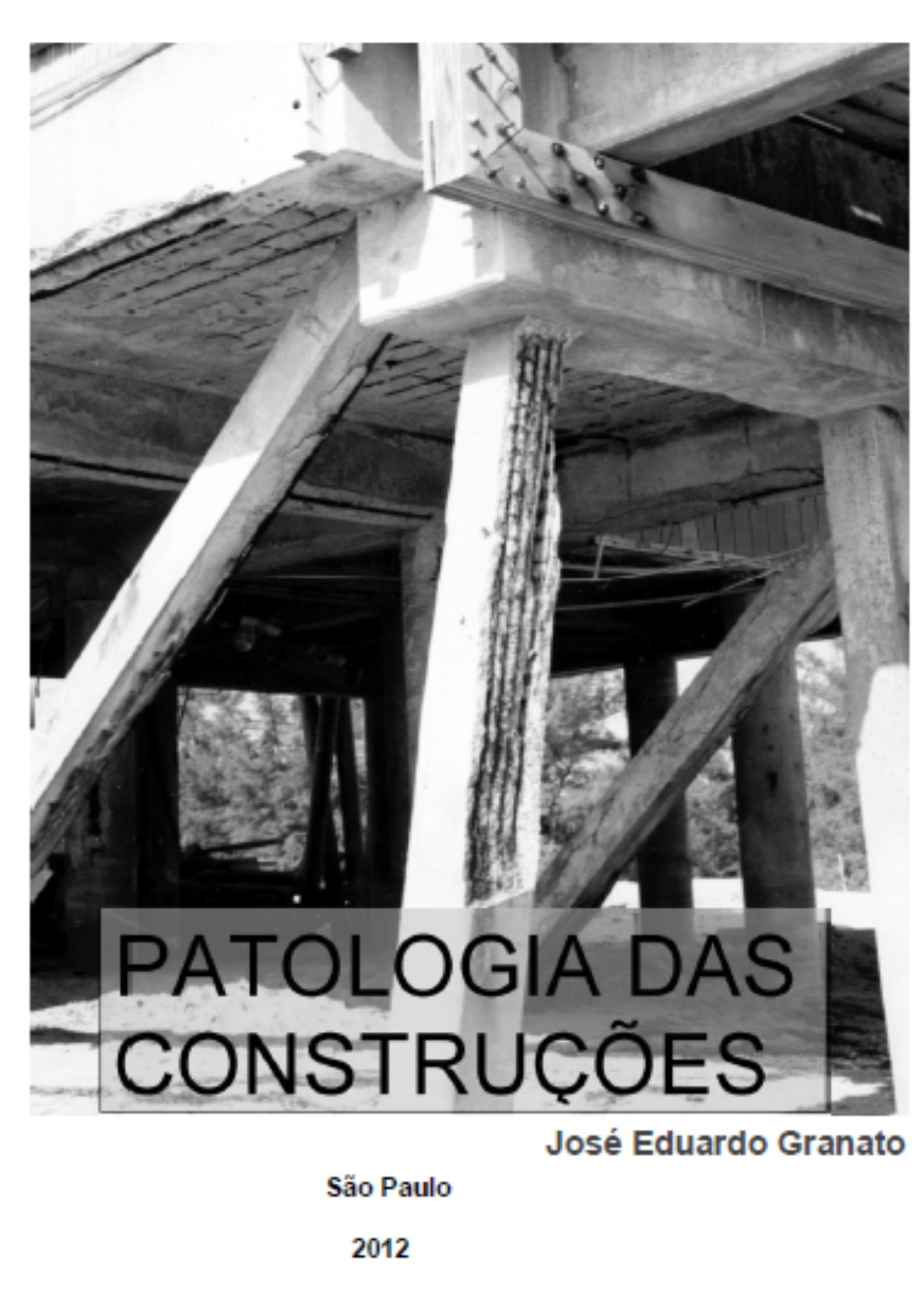 Patologia das Construções