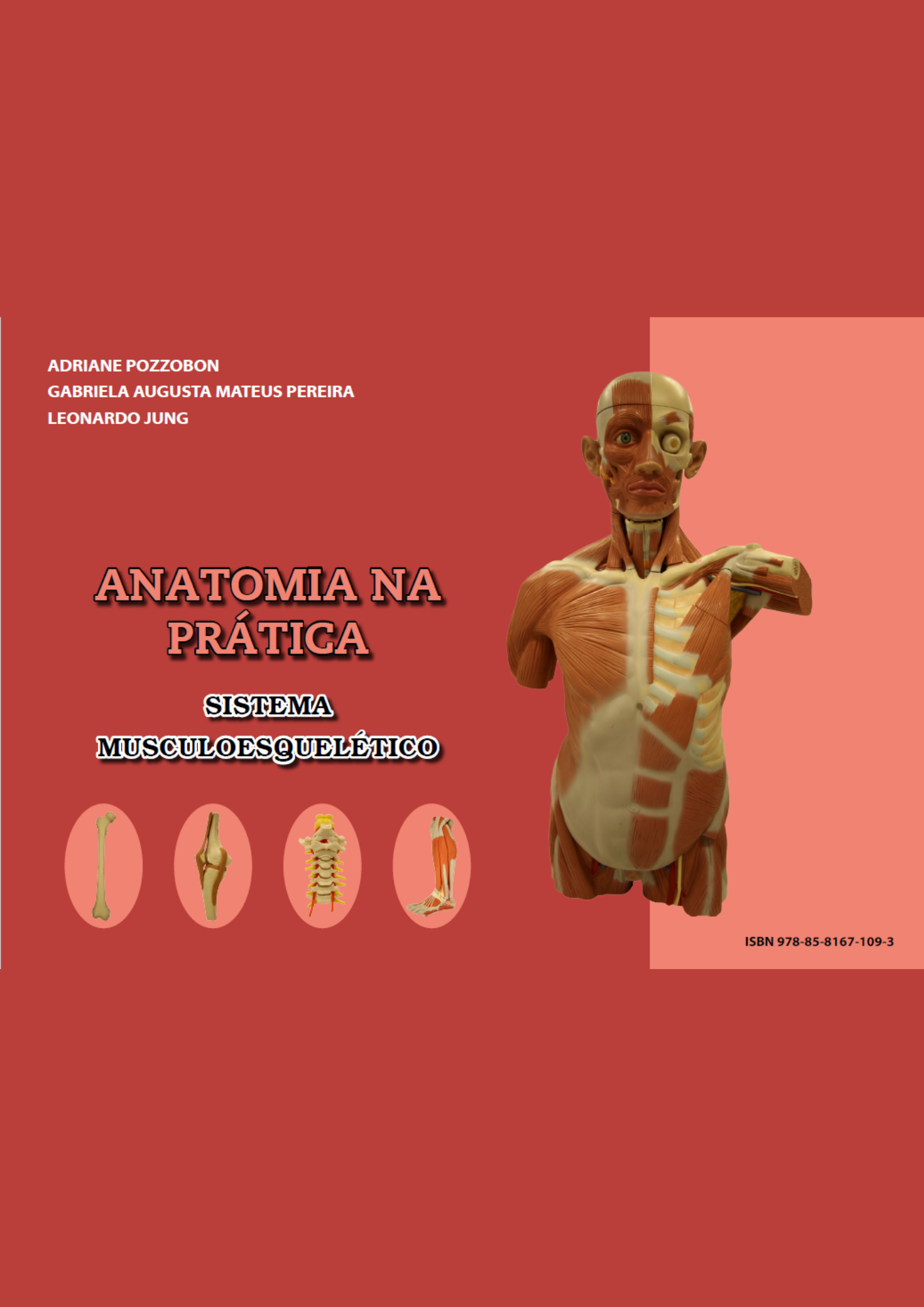 Anatomia na prática - Sistema Musculoesquelético