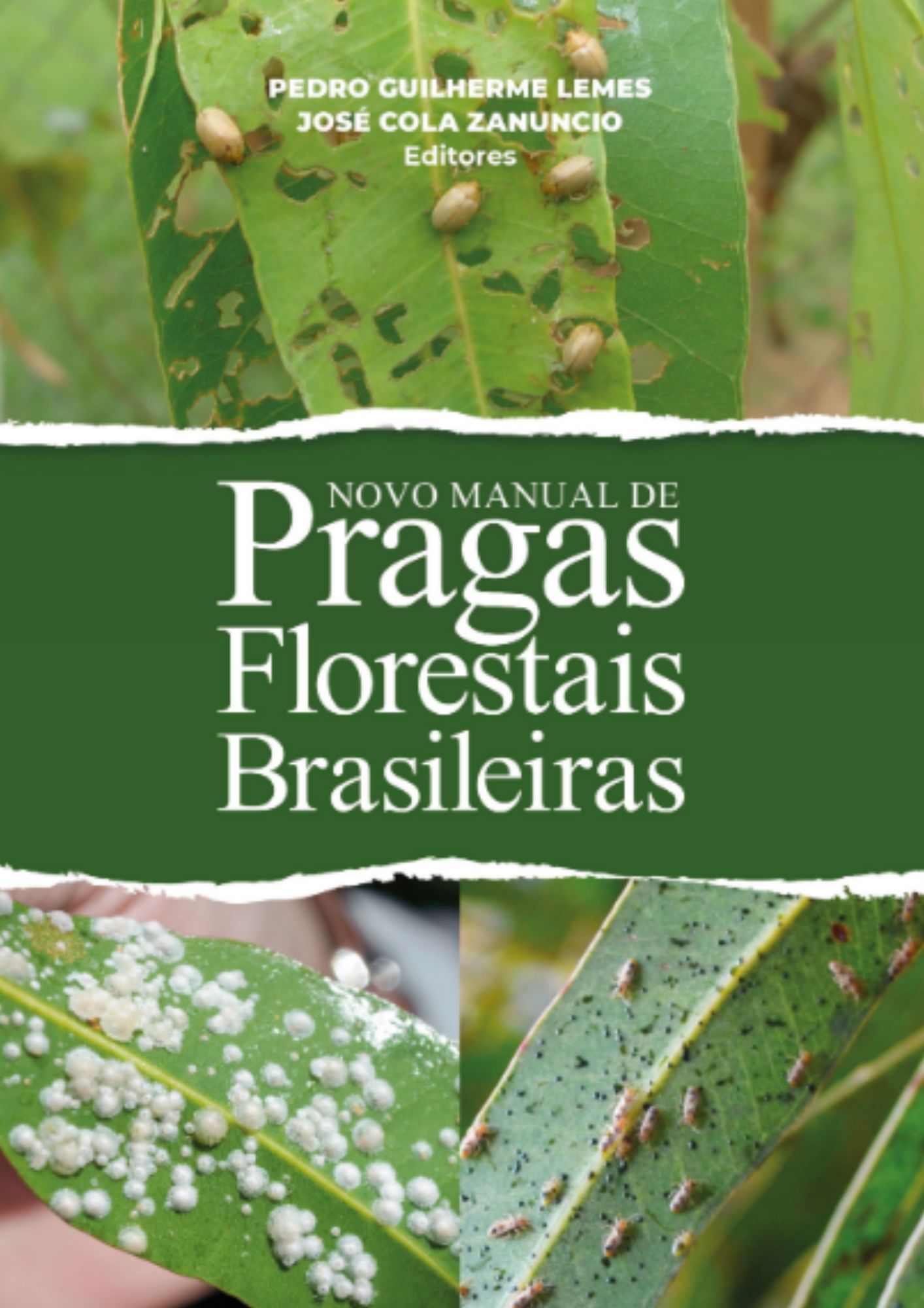 Novo Manual de Pragas Florestais Brasileiras