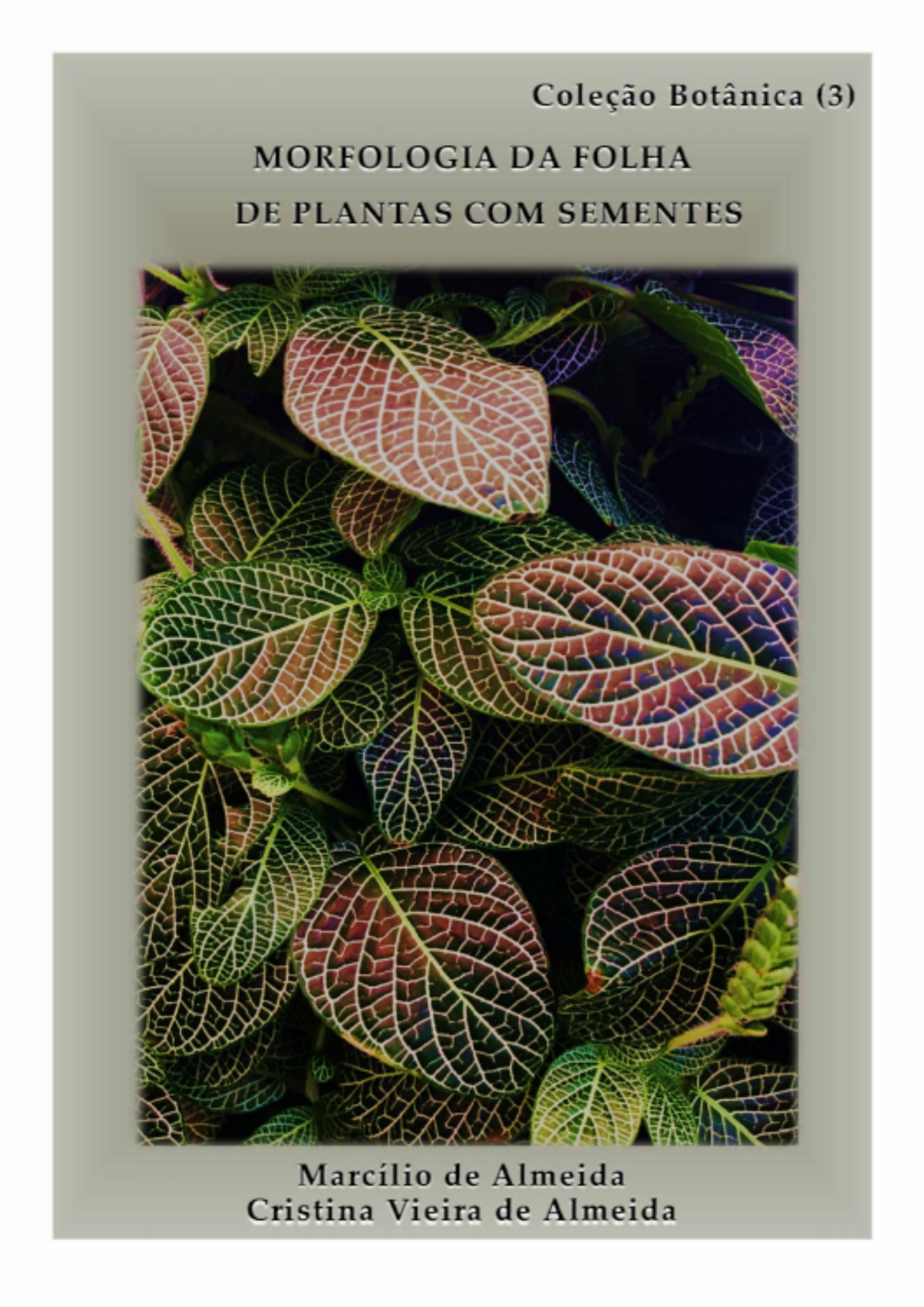 Morfologia da folha de plantas com sementes - Volume 3