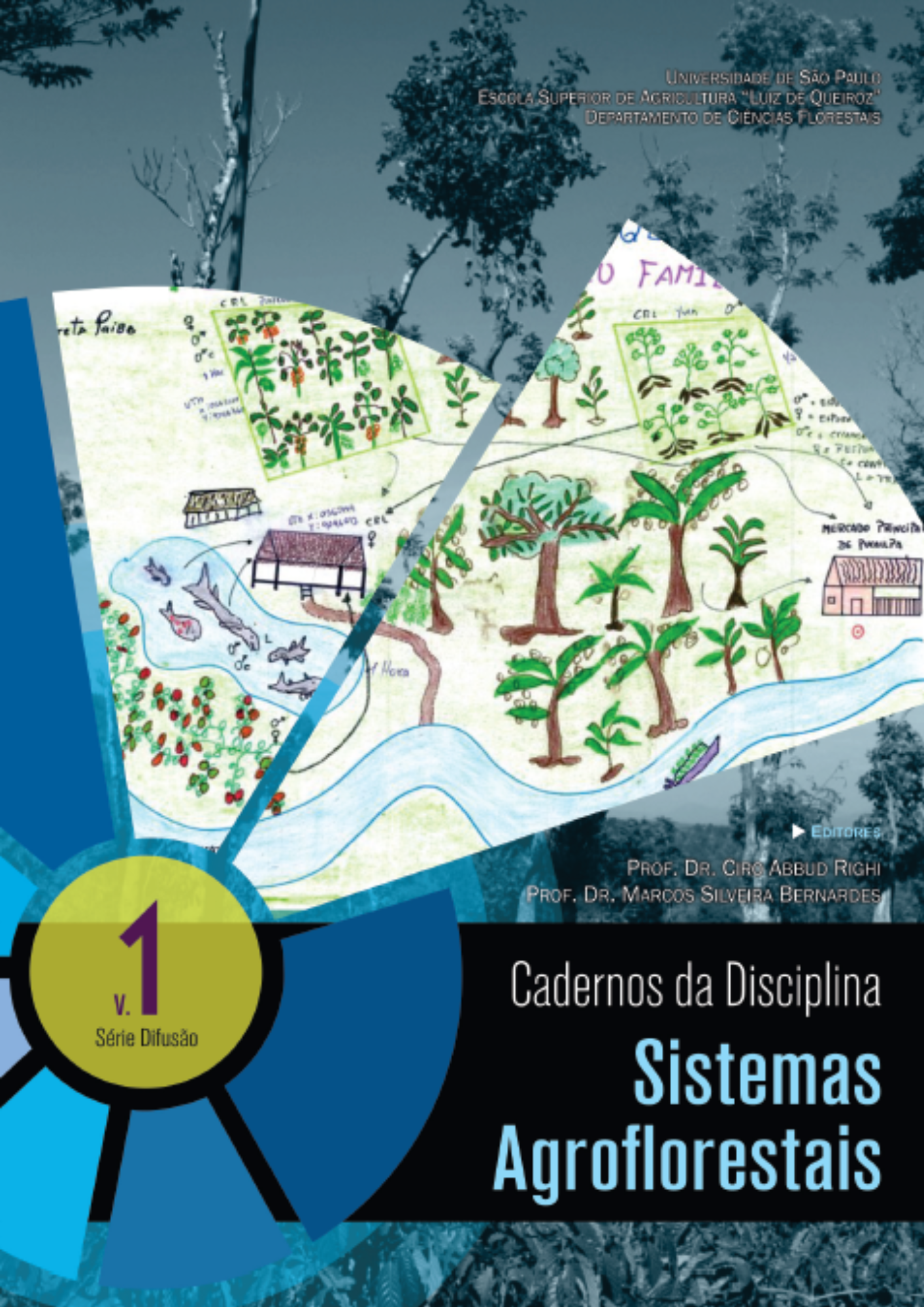 Sistemas Agroflorestais