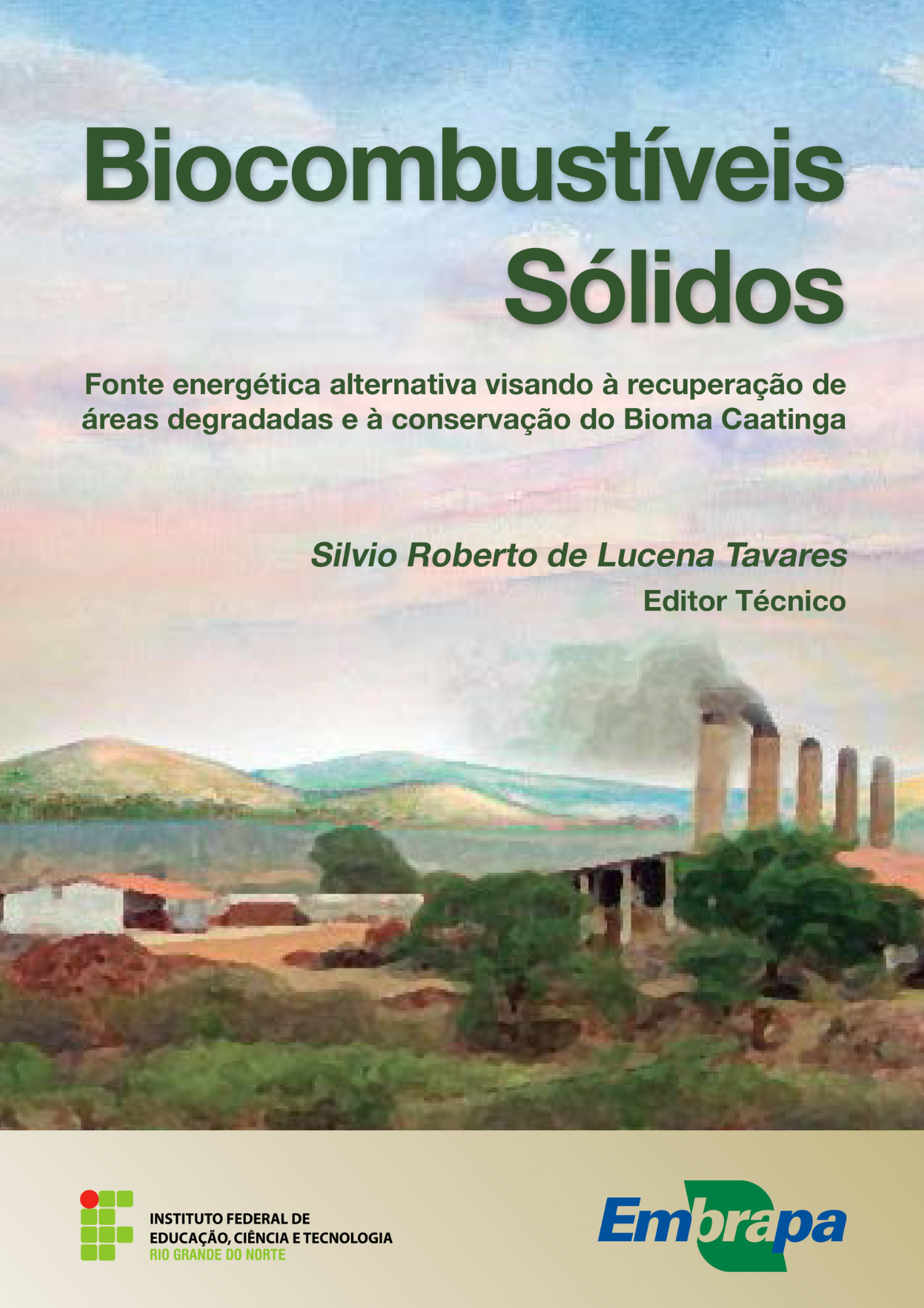 Biocombustiveis Sólidos