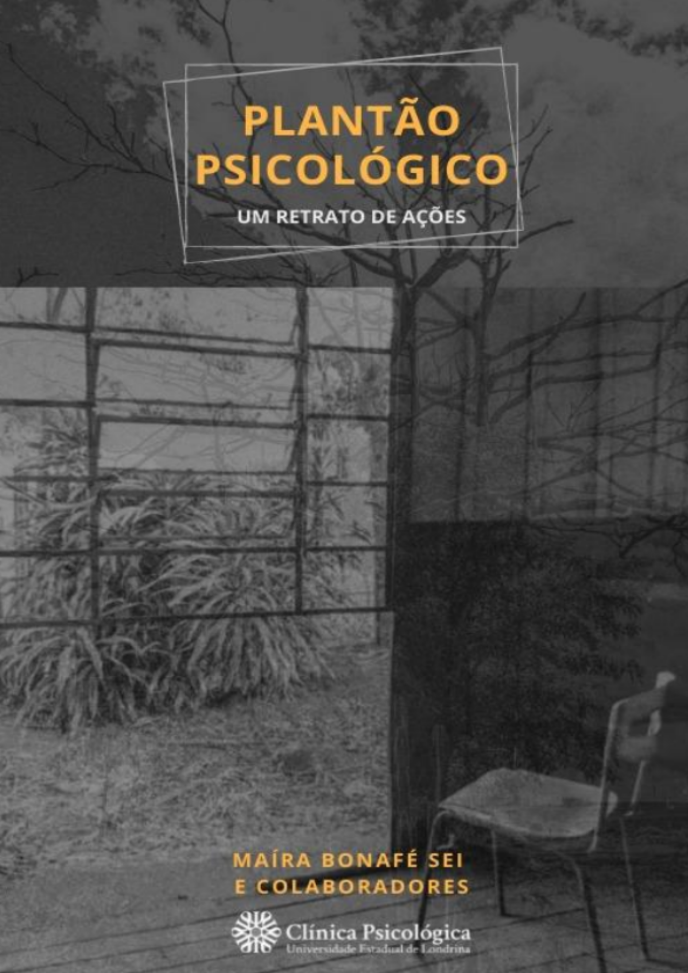 Plantão psicológico - um retrato de ações