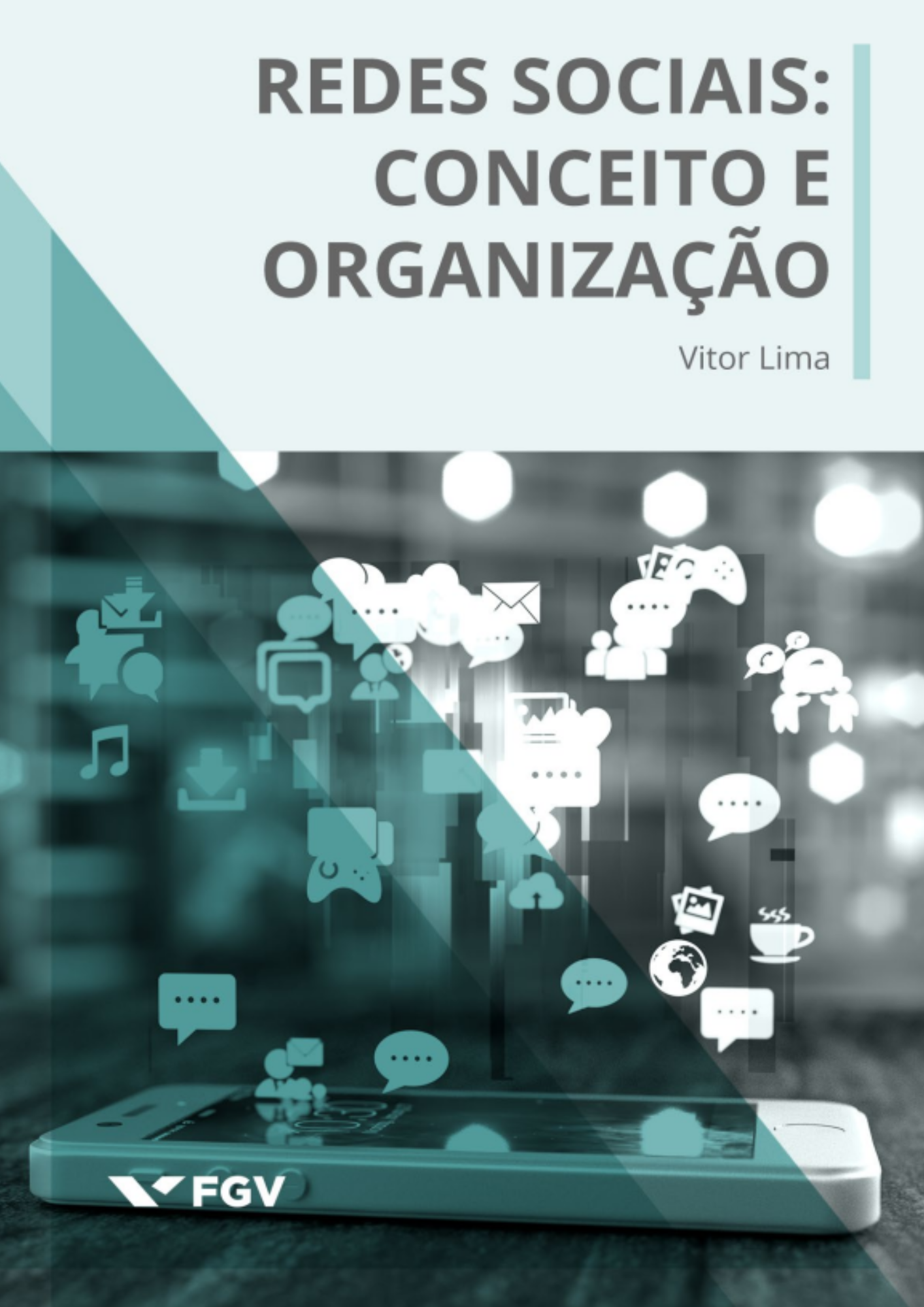Redes sociais - conceitos e organização