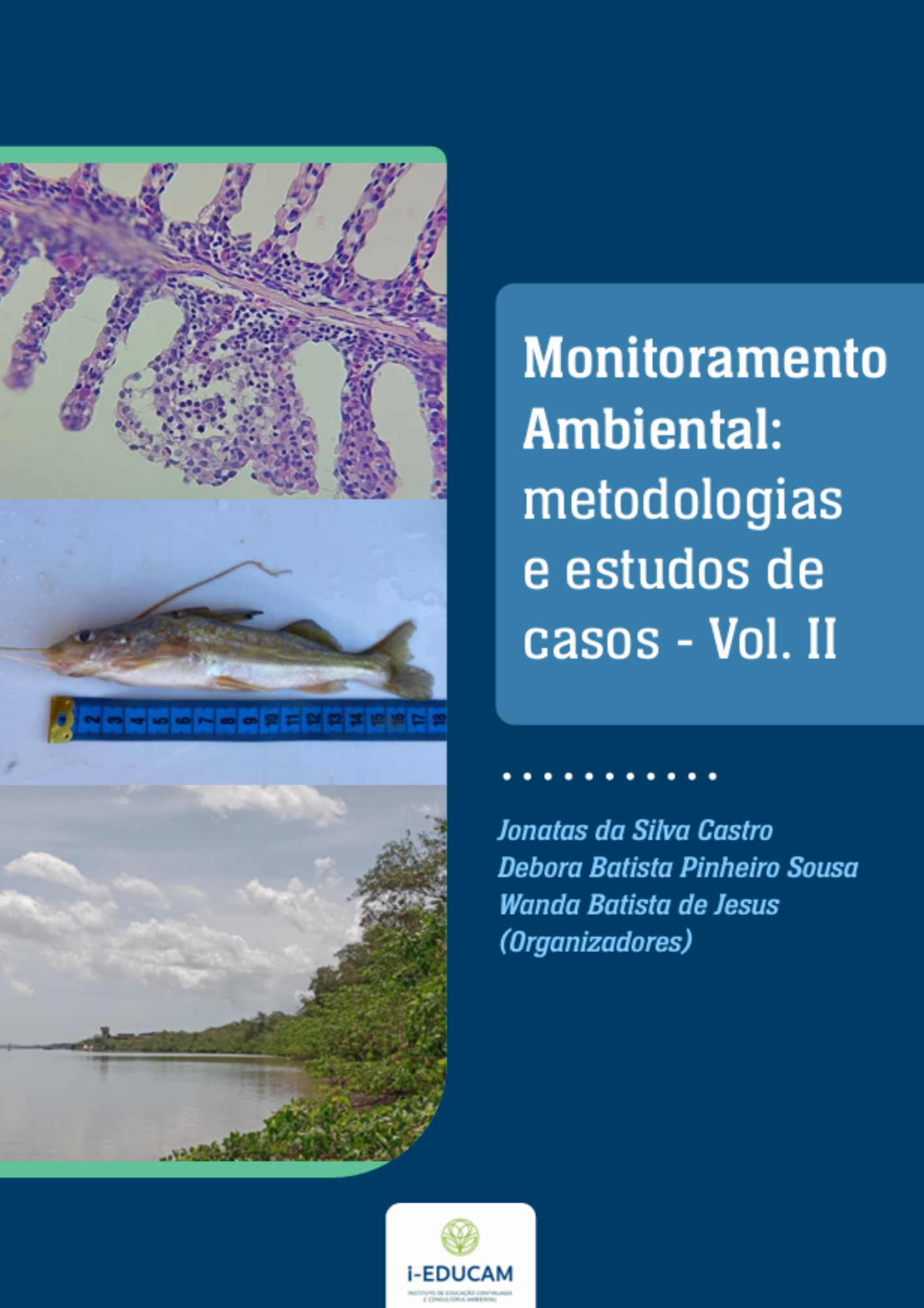 Monitoramento Ambiental - metodologias e estudo de caso. Volume II