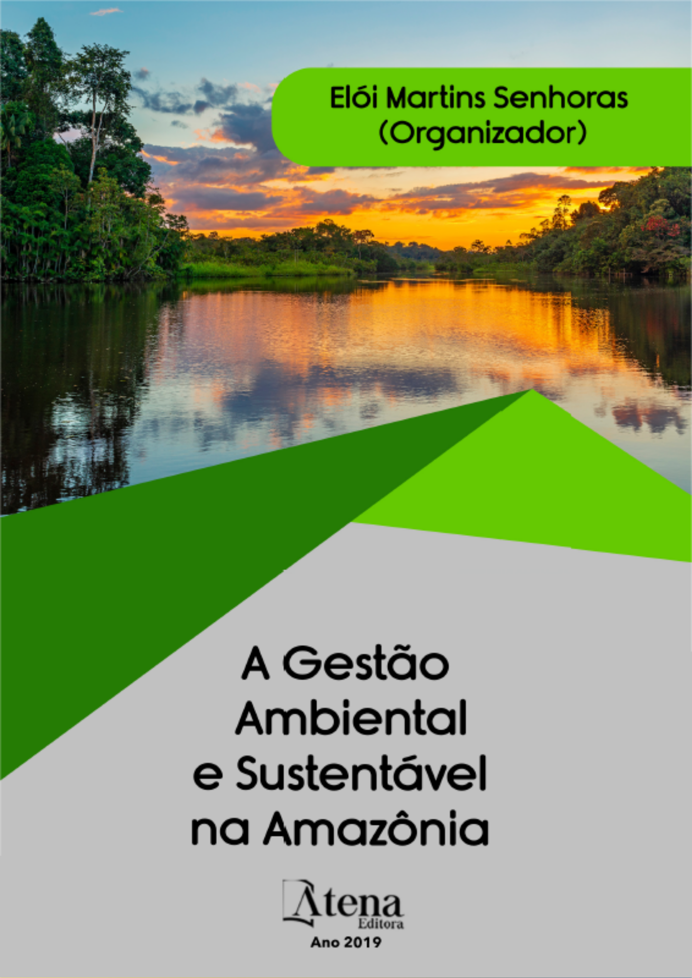 A Gestão Ambiental e Sustentável na Amazônia