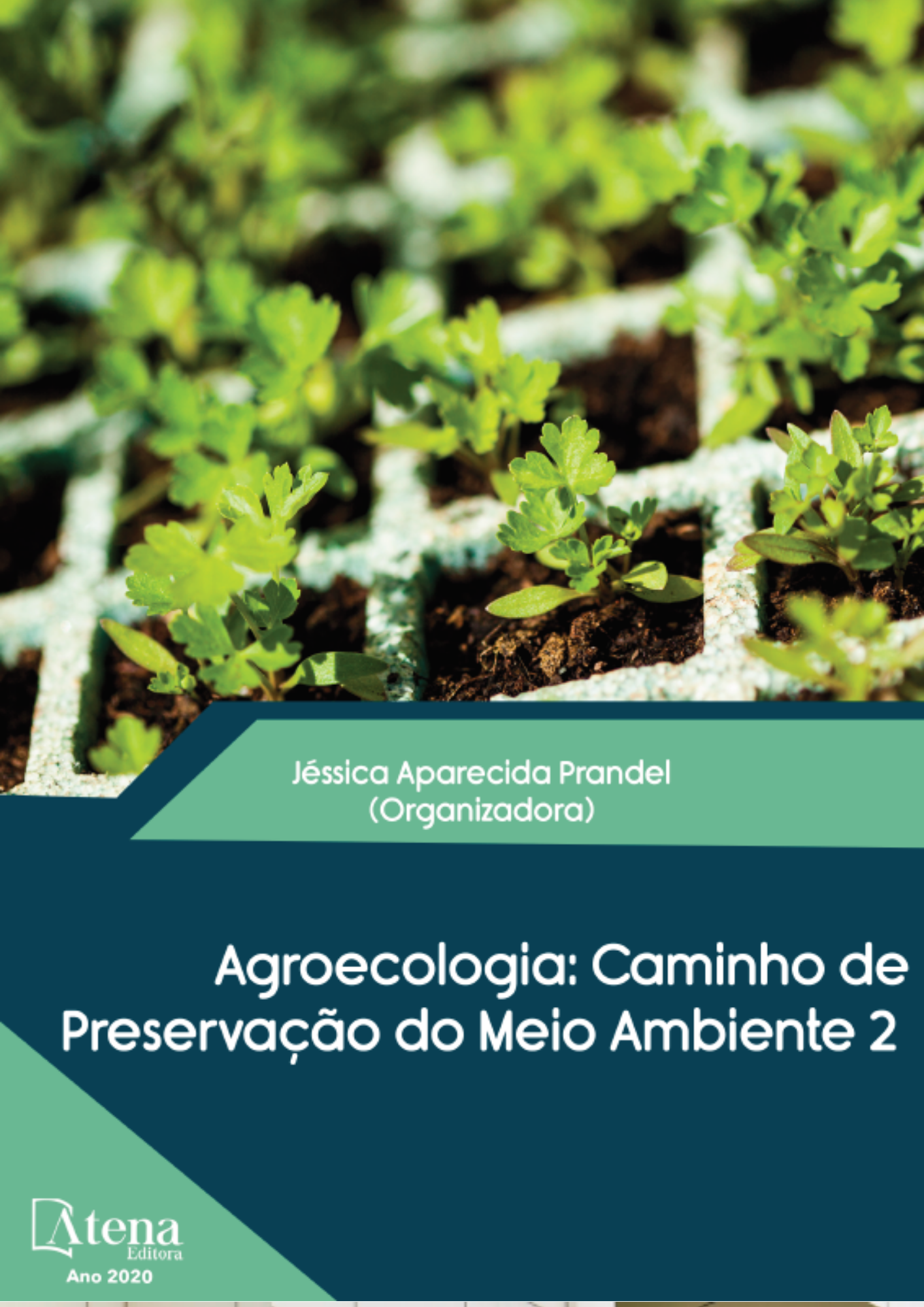 Agroecologia Caminho de Preservação do Meio Ambiente 2